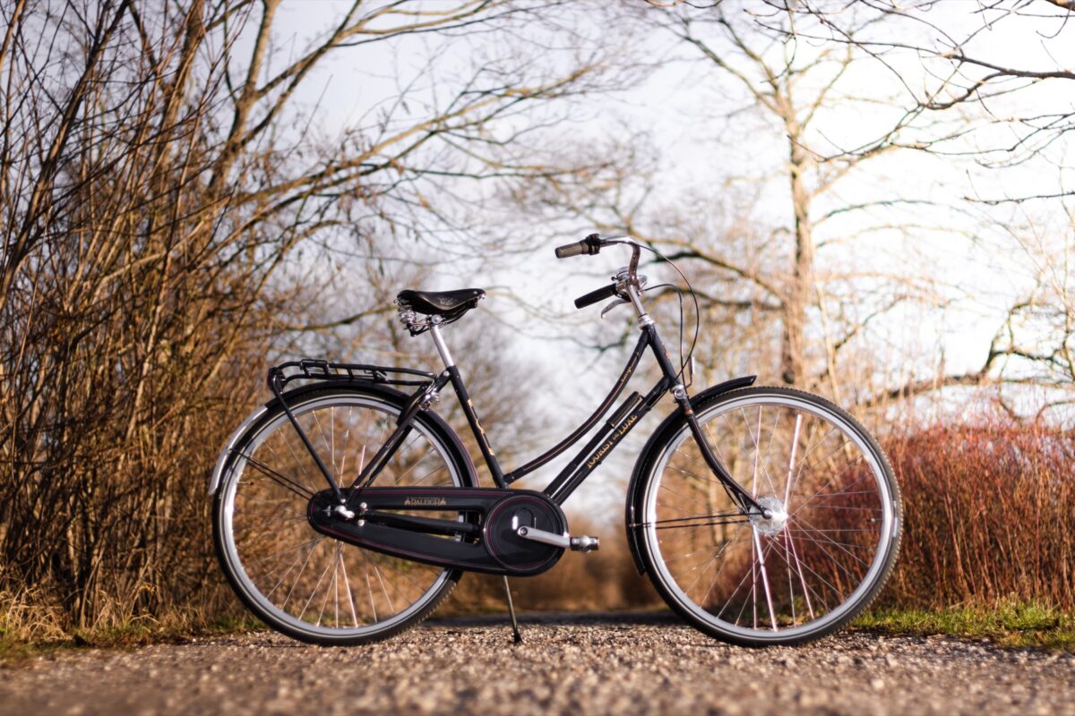 Raleigh Tourist de Luxe Damecykel 7 Gear Sort