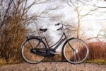 Raleigh Tourist de Luxe Damecykel 7 Gear Sort