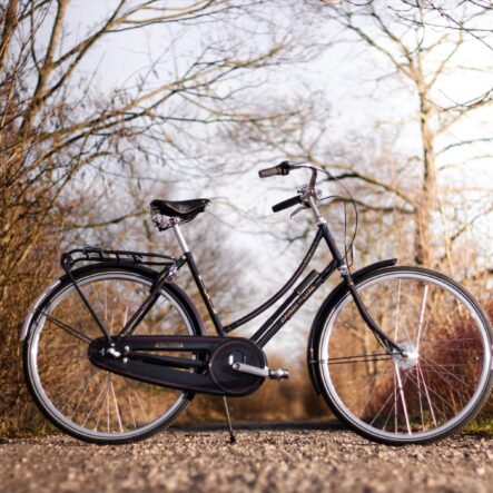 Raleigh Tourist de Luxe Damecykel 7 Gear Sort